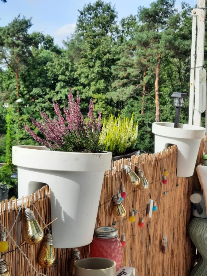 Apartmán Apartament Zorzy Przy Instytucie Kardiologii Anin Varšava Exteriér fotografie